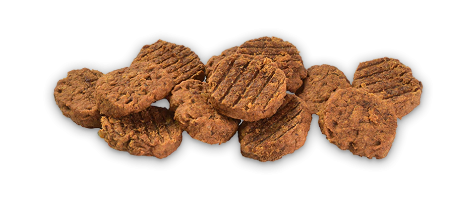 Brit Meat Jerky Snack – Turkey Meaty coins for Puppies 80 G